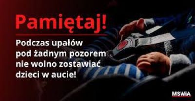 Zostawiasz dziecko lub zwierzę w aucie? Ryzykujesz ich życie!